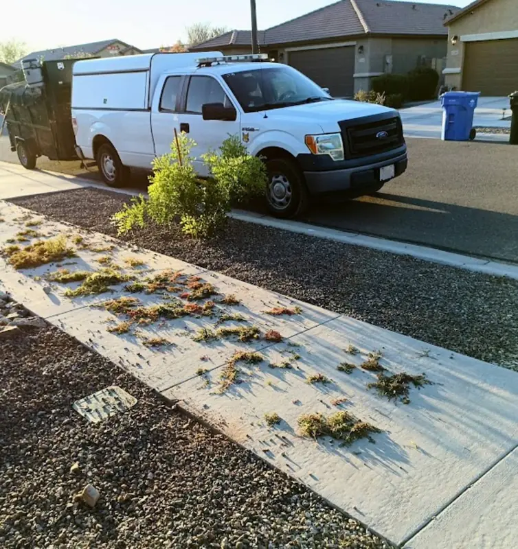 Arrowscape landscape cleanup debris and work truck at a West Valley property